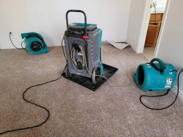 Best Water damage contractors near me  in Geneva, FL