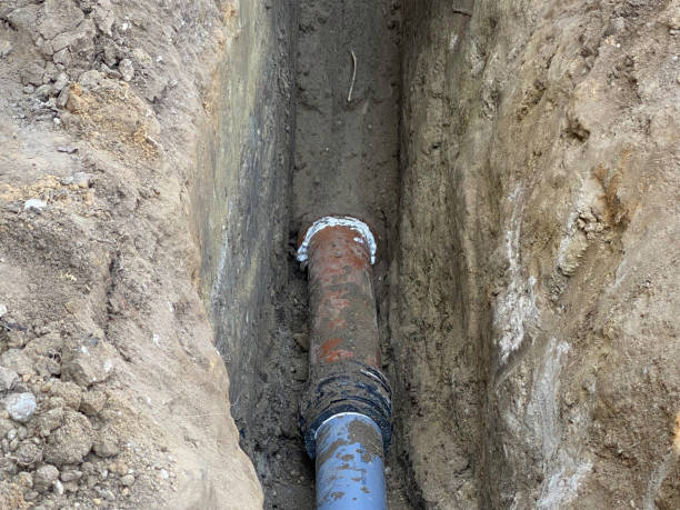 Best Flood restoration services  in Geneva, FL
