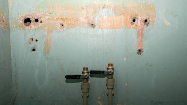 Best Flooded house restoration  in Geneva, FL