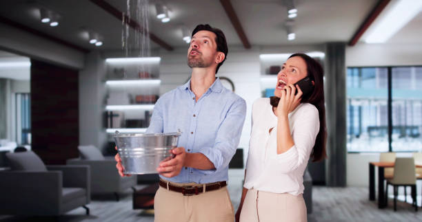 Best Local water damage restoration  in Geneva, FL