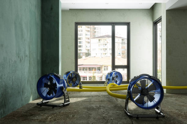 Reliable Geneva, FL Water damage restoration Solutions