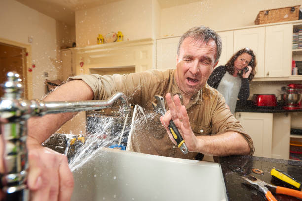 Best Basement water damage restoration  in Geneva, FL